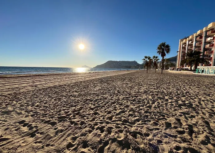 Apto One Day In Amatista *